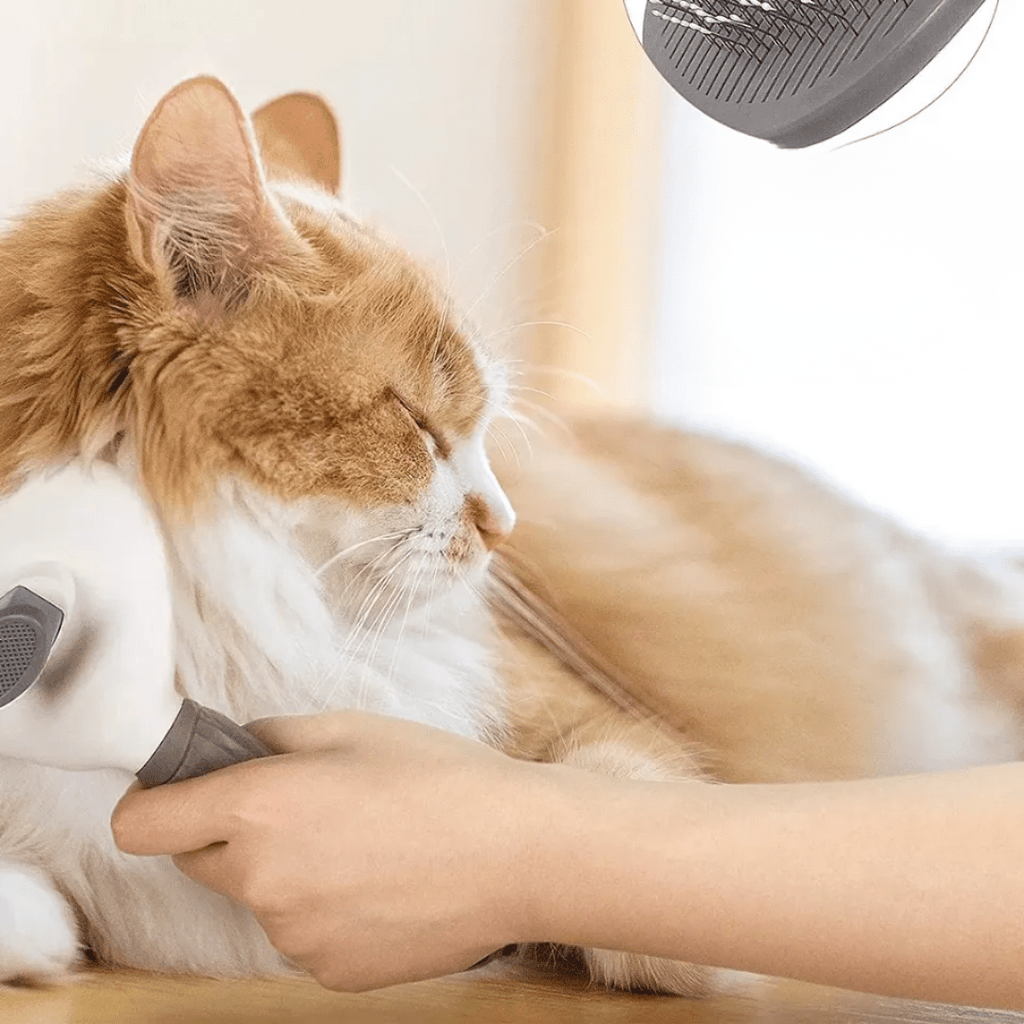 CEPILLO PARA MASCOTAS CON BOTON EXTRACTOR DE PELO- BIG BRUSH