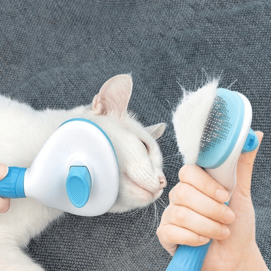 CEPILLO PARA MASCOTAS CON BOTON EXTRACTOR DE PELO- BIG BRUSH