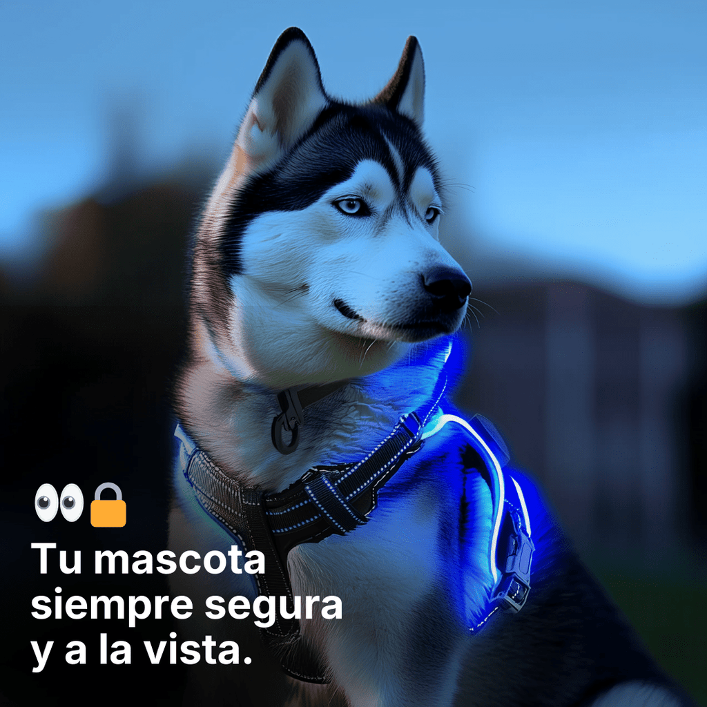 ARNÉS LED ANTITIRONES – NIGHTSAFE PRO