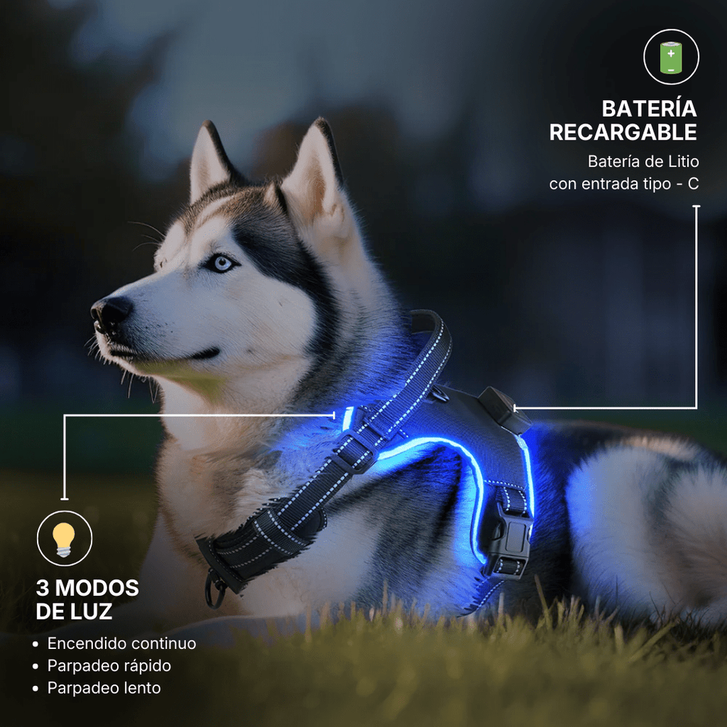 ARNÉS LED ANTITIRONES – NIGHTSAFE PRO