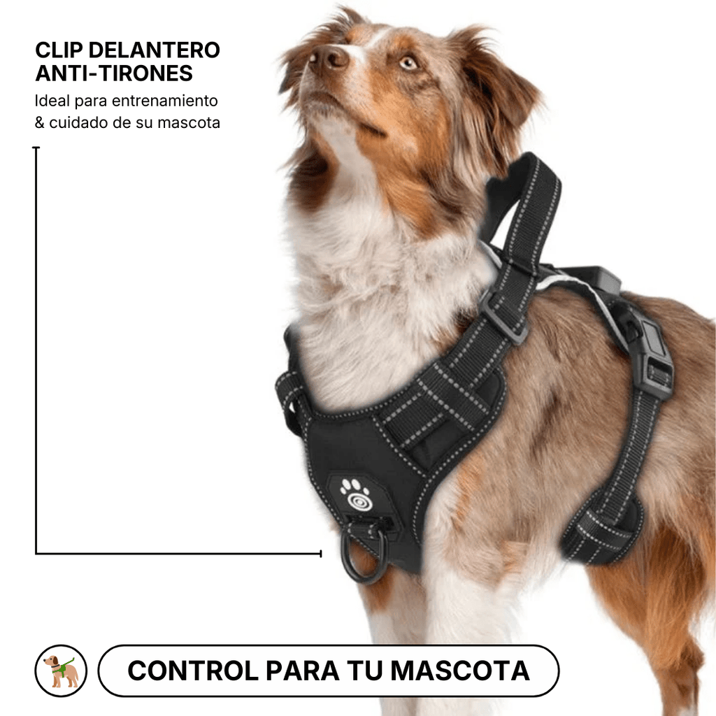 ARNÉS LED ANTITIRONES – NIGHTSAFE PRO