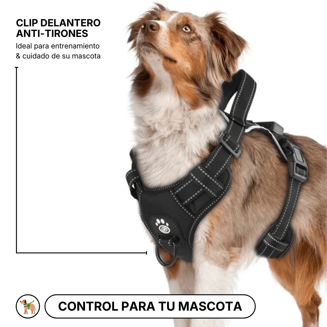 ARNÉS LED ANTITIRONES – NIGHTSAFE PRO