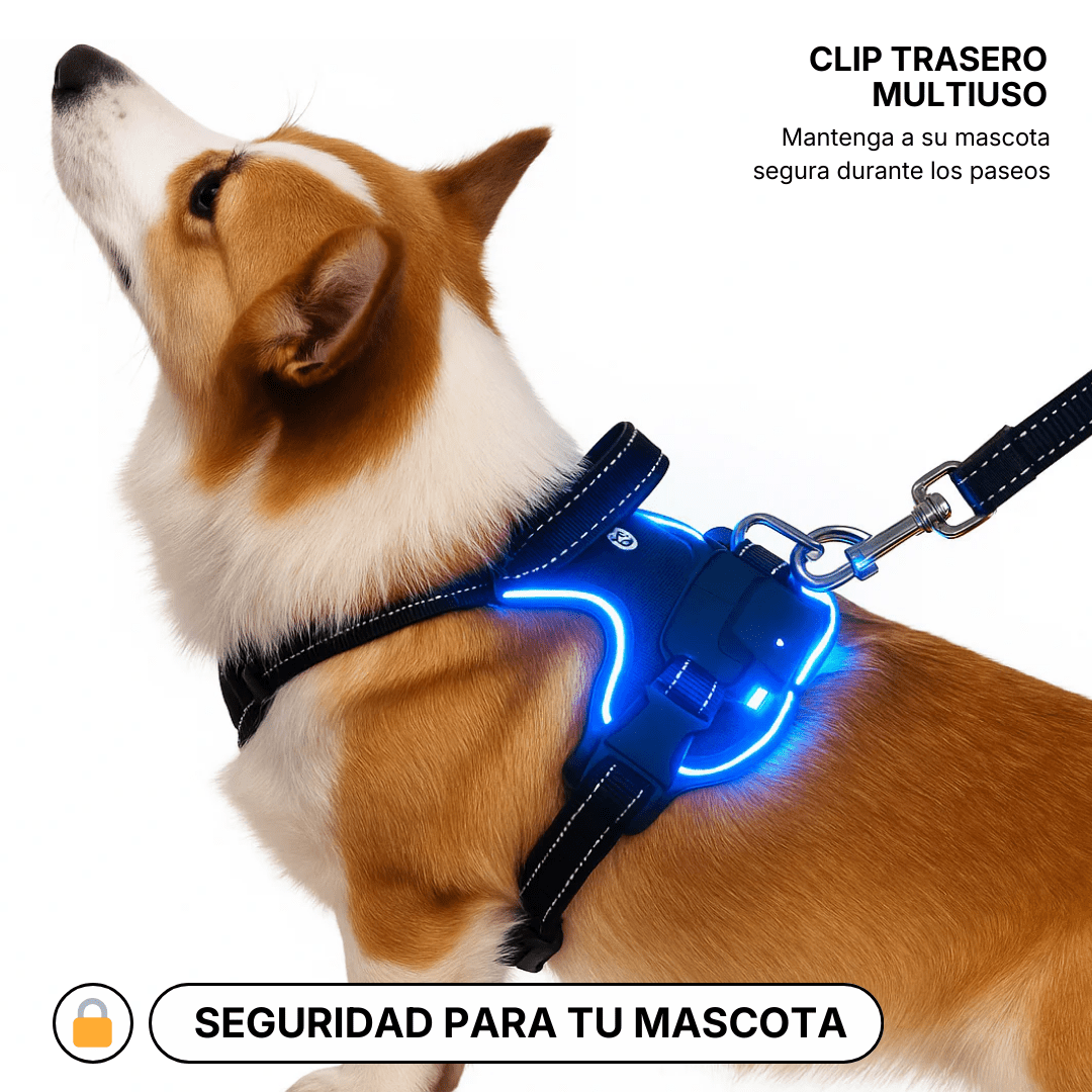 ARNÉS LED ANTITIRONES – NIGHTSAFE PRO