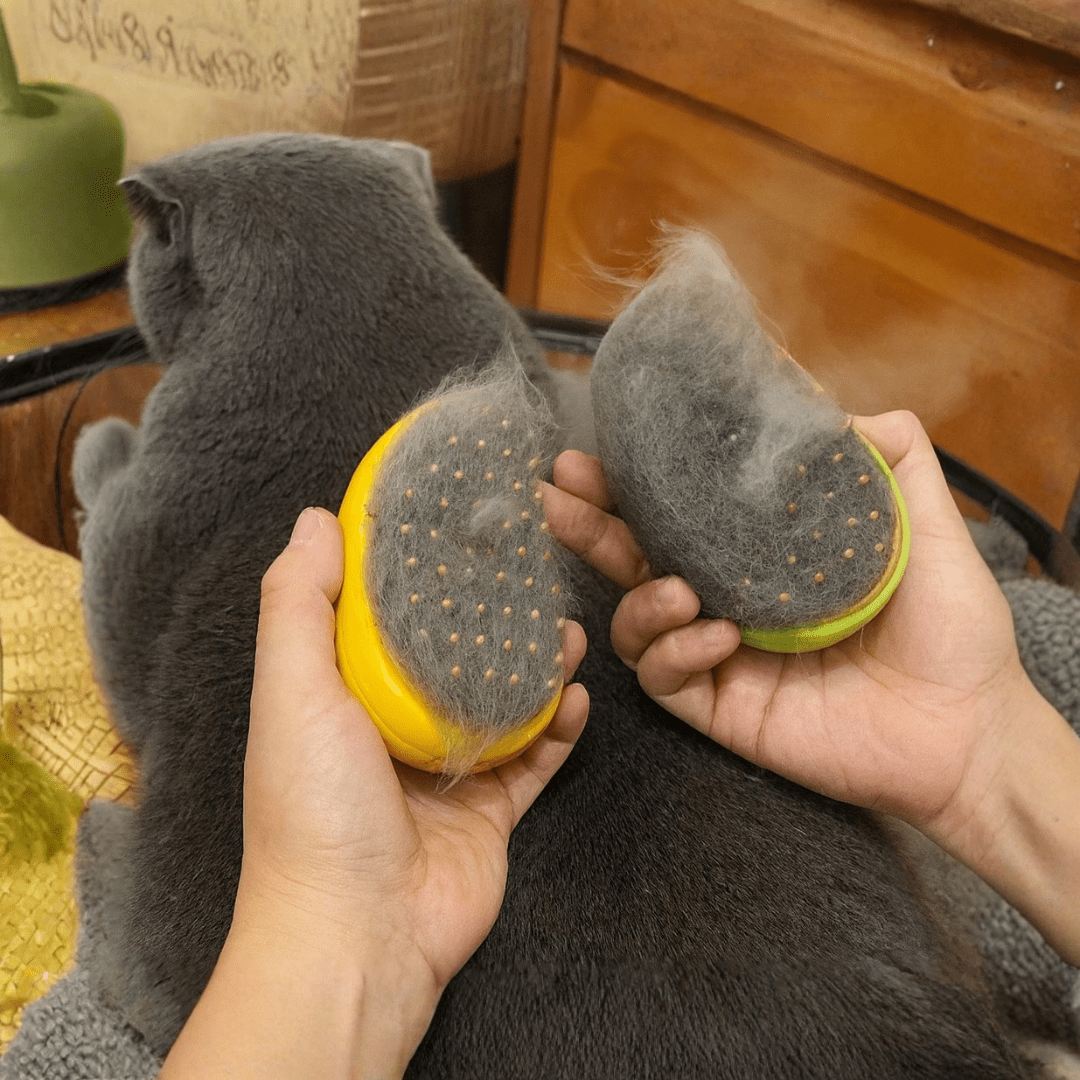 CEPILLO A VAPOR - MASAJEADOR - VAPE 2