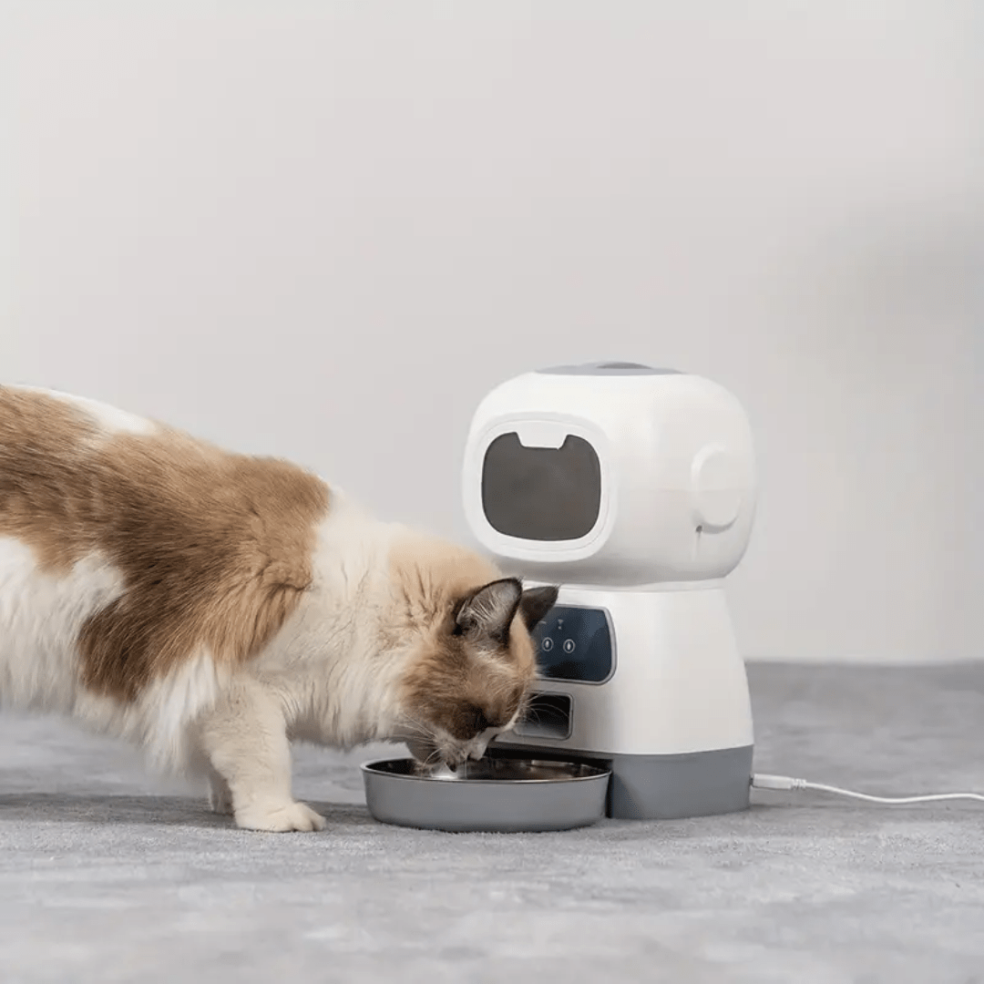 DISPENSADOR AUTOMÁTICO DE ALIMENTOS PARA MASCOTAS – FEED PET