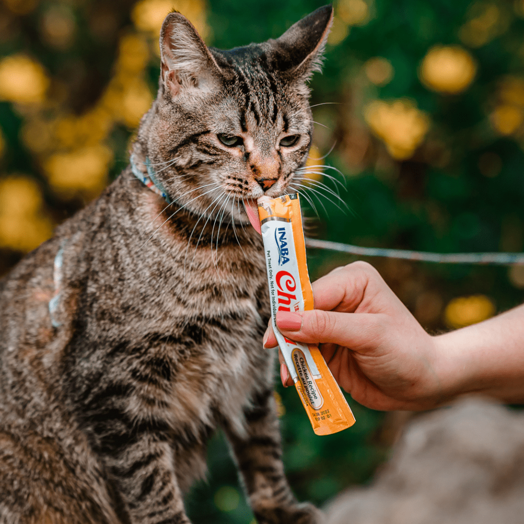 PACK 4 CHURUS – SNACK CREMOSO PARA GATO INABA ATÚN & SALMÓN