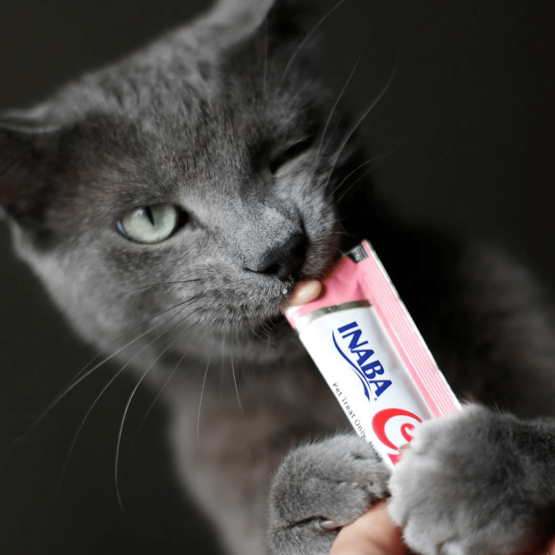 PACK 4 CHURUS – SNACK CREMOSO PARA GATO INABA ATÚN & SALMÓN