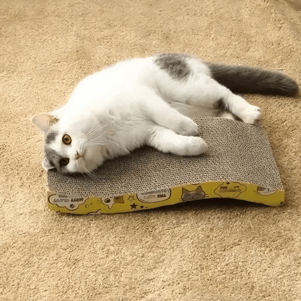 RASCADOR PARA GATO DE CARTÓN - CATSCRATCH
