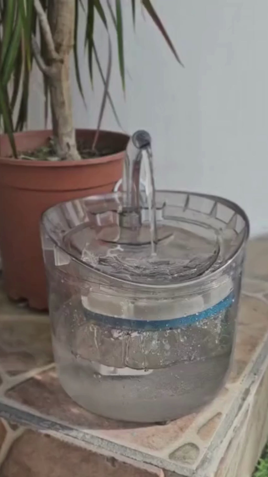 BEBEDERO MASCOTAS AUTOMÁTICO - INFINITY