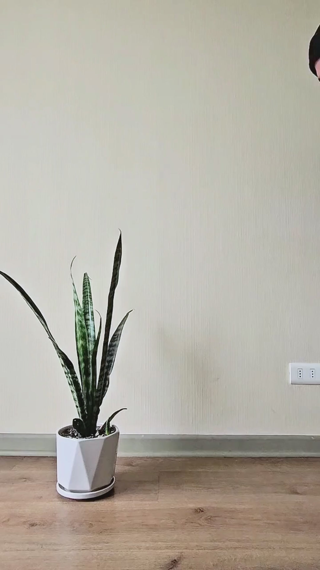 TRIPACK CAJAS ORGANIZADORAS ZAPATOS - SNEAKER CLASSIC