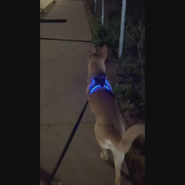 ARNÉS LED ANTITIRONES – NIGHTSAFE PRO